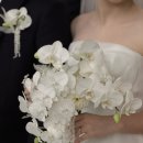 함께하는치과기공소 이미지