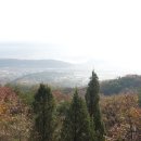 태수산