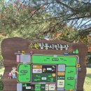 감당농장 | 아이와 가볼만한곳- 텐트 치기 좋은 수원 탑동시민농장 잔디밭 피크닉 &amp; 상상캠퍼스 연극축제 솔직후기
