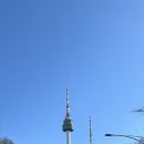 돈키돈키 이미지