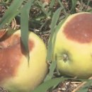 진등농장 이미지