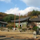 다비숲공원 네이버블로그