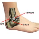 스트레칭운동센터