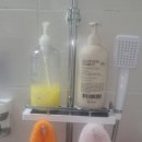 아케이도 이미지