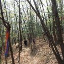 평화순환길 이미지