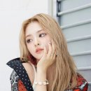 나경 이미지