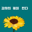 메가점핑 이미지