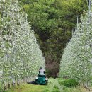 평팔농장 이미지