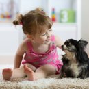 웰튼동물의료센터 이미지