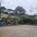 탄금호순환자전거길1 이미지