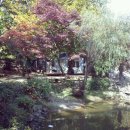 역곡오리집 이미지