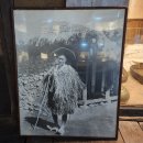 록봉민속교육박물관(휴관) | [제주공항 가볼만한곳] 비 오는 날에도 좋은 제주민속자연사박물관 완벽 코스