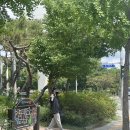 우리주짓수 네이버블로그