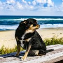 지경국민여가캠핑장 이미지