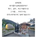 진해 벚꽃여행 1박2일 이미지