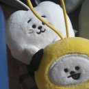 더알제이주 네이버블로그