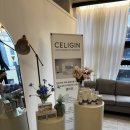 돋질로L | [울산 남구 l 셀포랩 빅토리점] ‘30분 누워만 있으면...효과가 난다?’ 궁금해서 직접 체험해본 리얼 후기