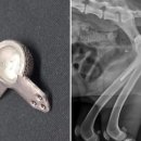 케이지메디텍(주) 이미지