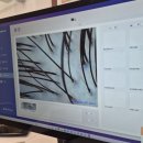 케어하우스 | 광교 두피관리 &lt;더 케어하우스 상현점&gt; 미라클 케어 후기