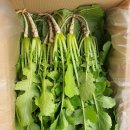 연한농장 이미지