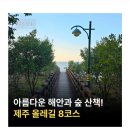 3월30일~ 4월4일 /제주에서 5박6일/벚꽃길ㆍ유채꽃길ㆍ올래길 힐링소풍 이미지