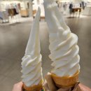 오슬로스타필드 이미지