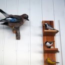 나무호텔 이미지