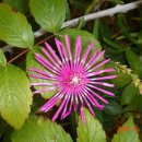 휴양림농장 이미지