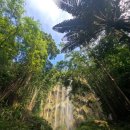 존엔존피시카페 | [내돈내산]세부 여행 존투어 총정리 | 오슬롭•투말록•모알보알 후기 + 항공권 추천