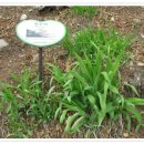 통영케이블카(상부) 이미지