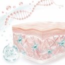 닥터송제통의원 | 잠실피부과유명한곳, 같은 용량인데 결과가 갈리는 리쥬란 주입 차이