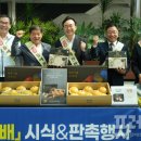 나주배한우 이미지