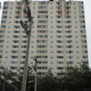 분당-179 이미지