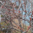 우림세탁소 이미지