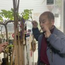 통영전통연;부채연구소