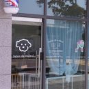 왈왈애견 이미지