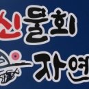 제주신물회 이미지