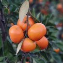 산하농장 이미지