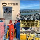 우메다 공중정원 + 도톤보리 리버크루즈 매표소 위치 예약 및 탑승 후기 (주유패스 추천 코스)