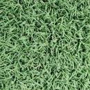 강하생활체육공원 이미지