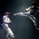 경희대 국가대표 형제 태권도 이미지