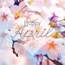 오토블링 부산점 이미지