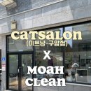 이쁘냥 고양이미용실 대전점 이미지