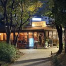 챠밍애견 | 염리동 맛집 공덕 경의선숲길 야장 추천 옥천보쌈