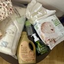 더네이처 이미지