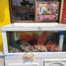 송정해수욕장 주차장 이미지