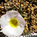 화이트폼 이미지