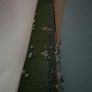 초곡스크린골프 이미지