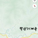 ▣덕산기계곡2(정선) 산꽃 240807 이미지