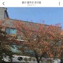 온산한의원 이미지